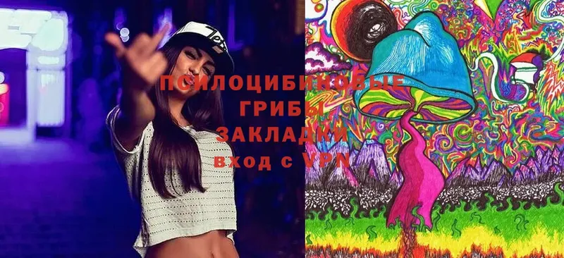 Галлюциногенные грибы Magic Shrooms  blacksprut ТОР  Шагонар 