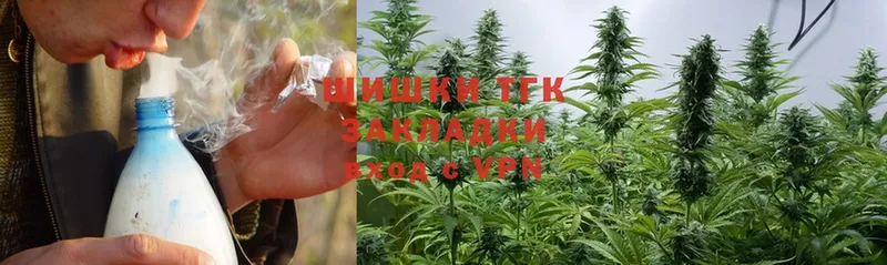 Каннабис семена  закладки  Шагонар 